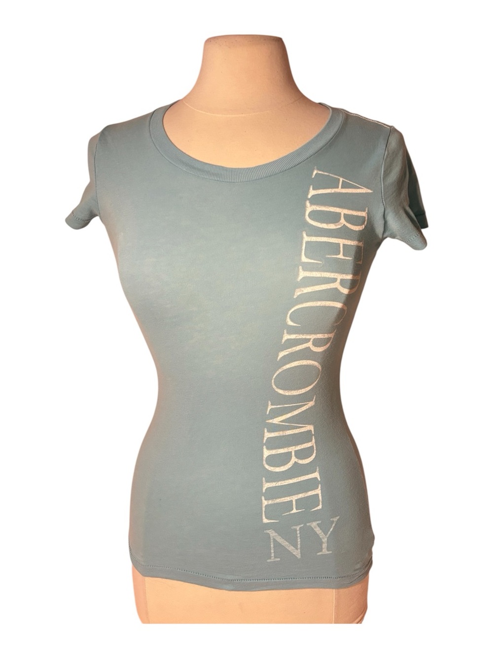 Y2K Abercrombie & Fitch Women's Logo Crewneck Tee in Light Blue
